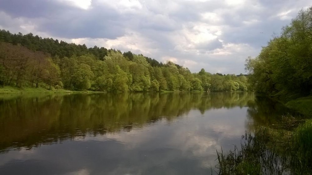 WP_20160510_13_06_21_Pro.jpg