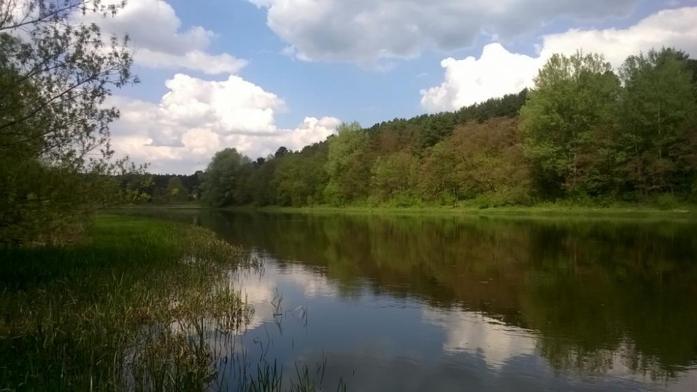 WP_20160510_13_06_25_Pro.jpg