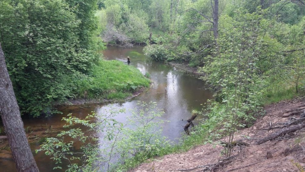 20160519_180609.jpg