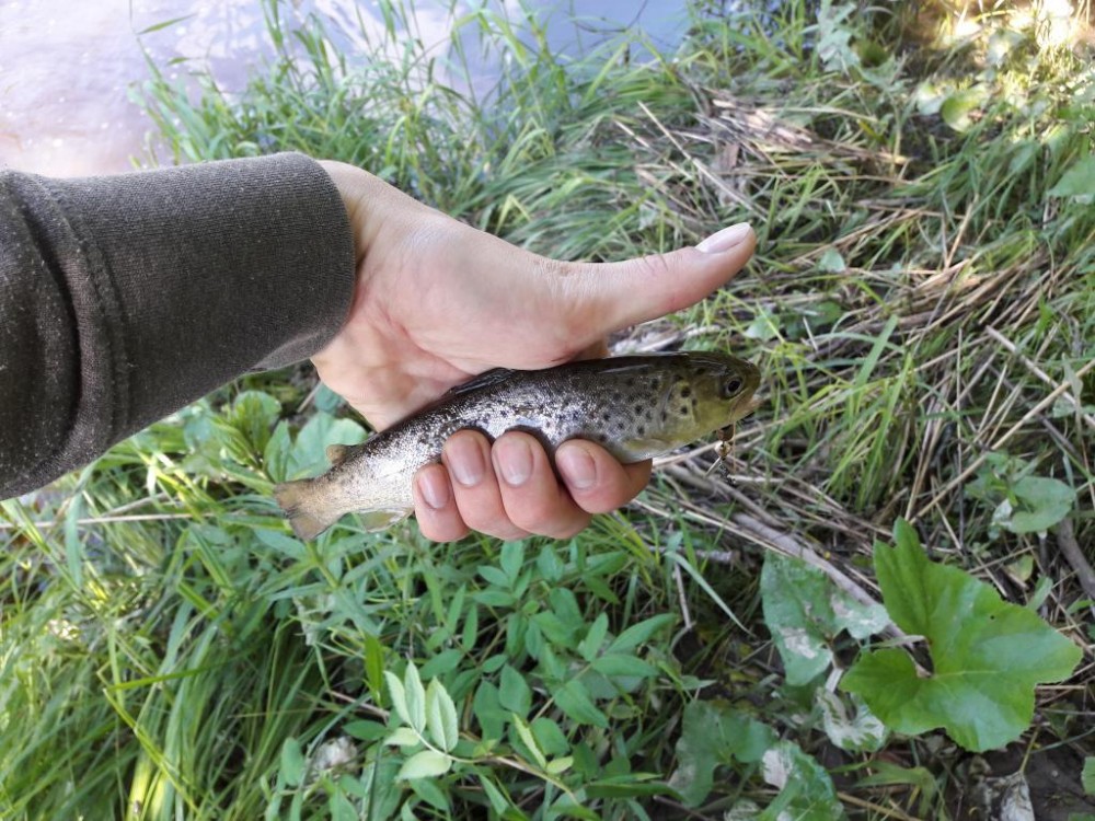 20160522_132613.jpg