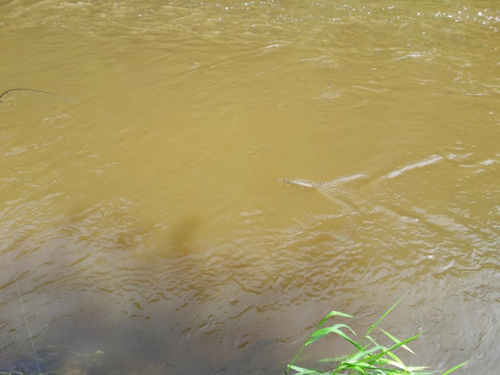 20160522_125113.jpg