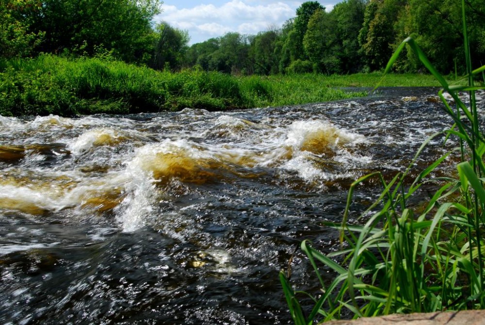 DSC_0355.JPG