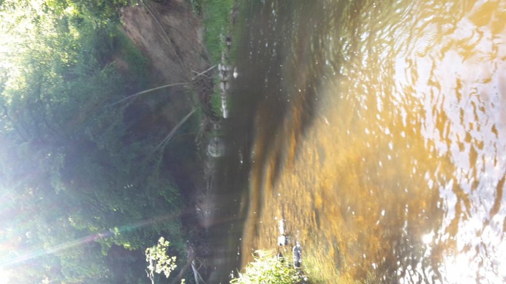 20160604_174029.jpg