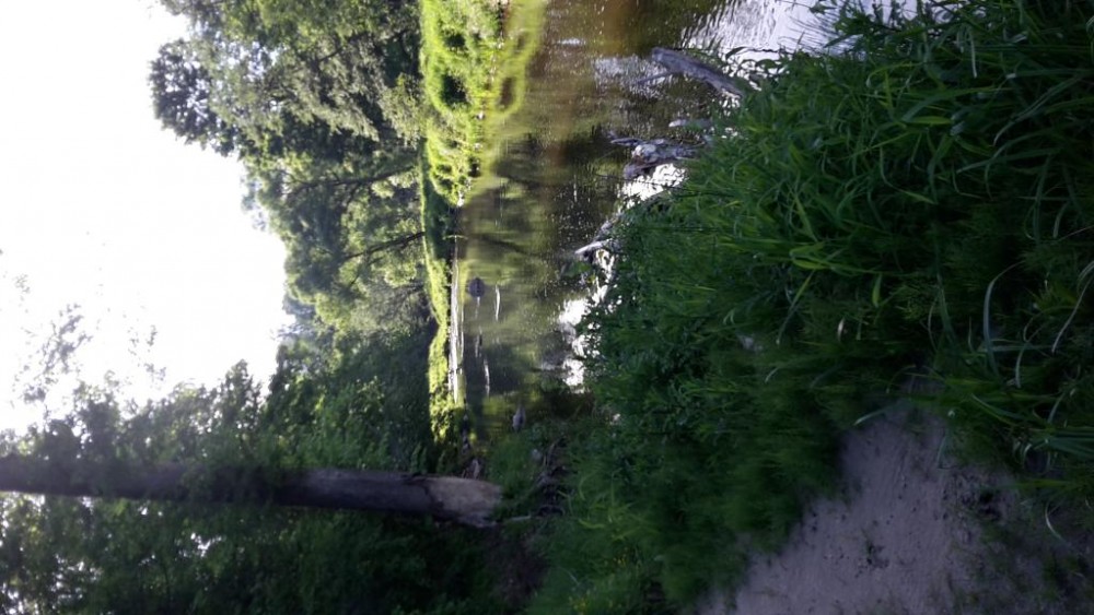 20160604_185109.jpg