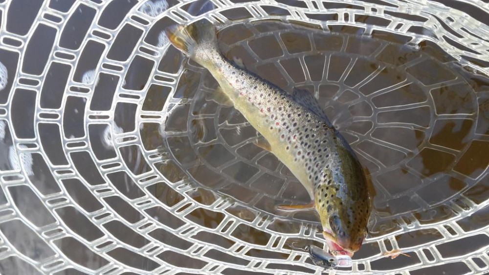 20160604_185745.jpg