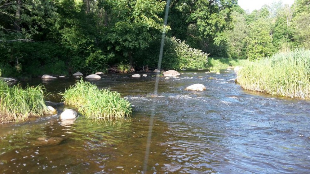 20160604_190833.jpg