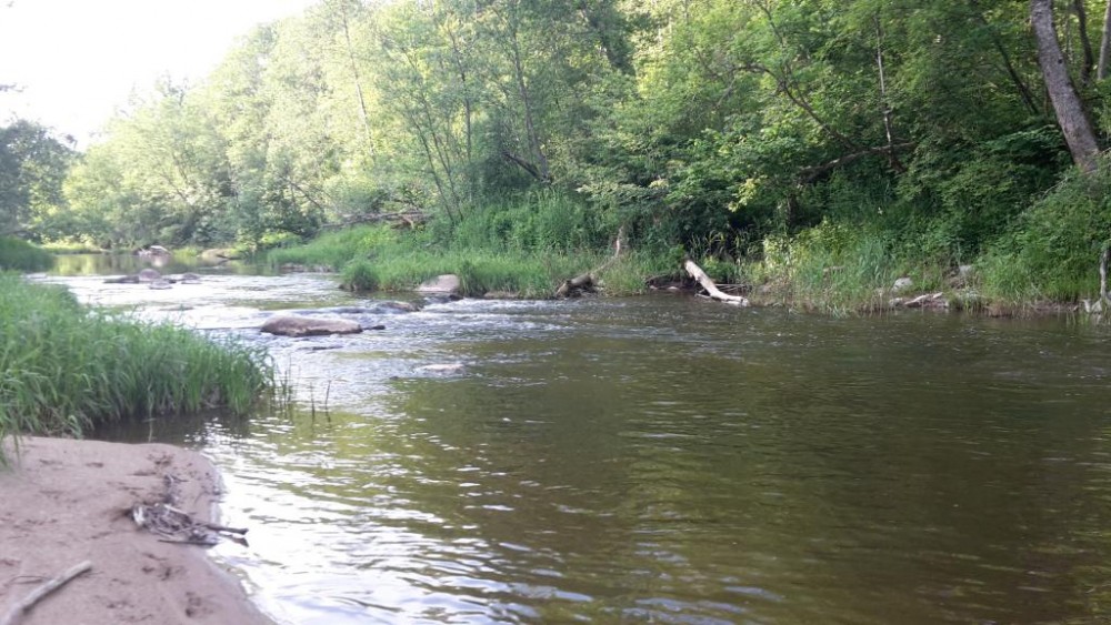 20160604_194123.jpg