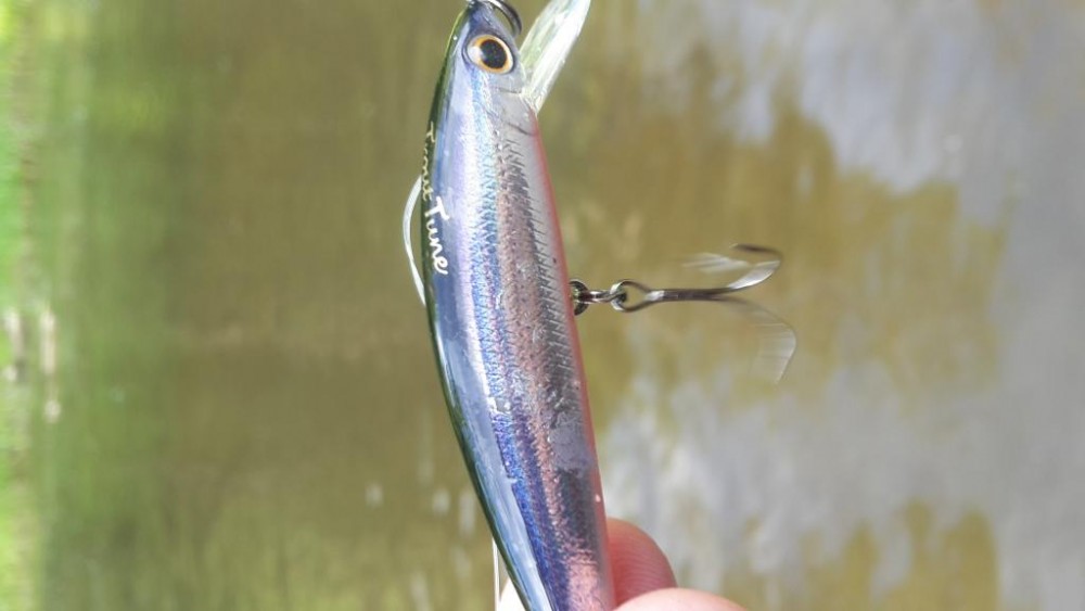 20160604_194212.jpg