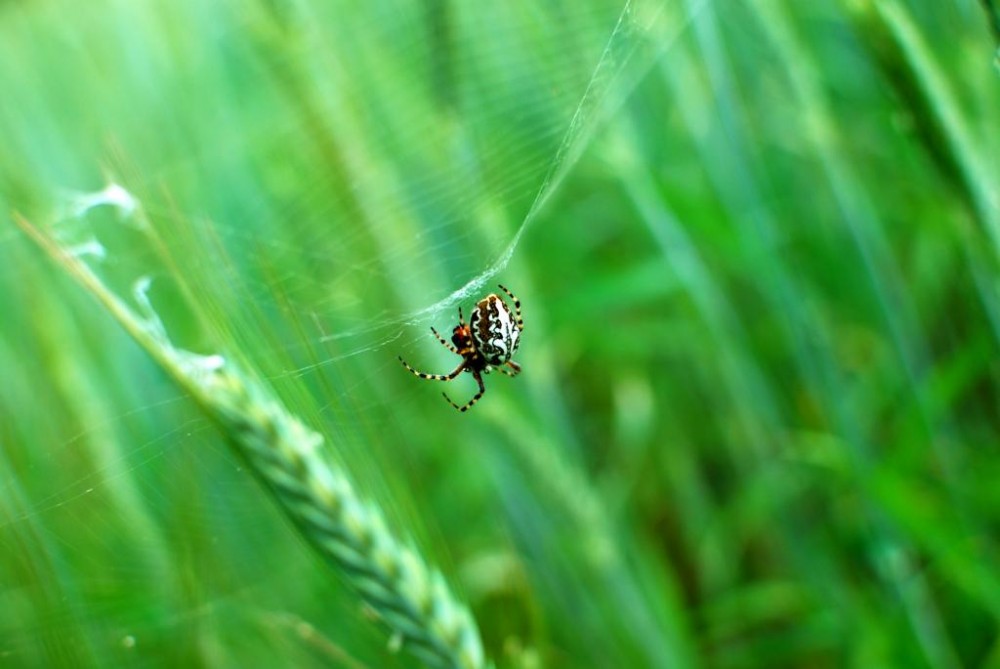 DSC_0123.JPG