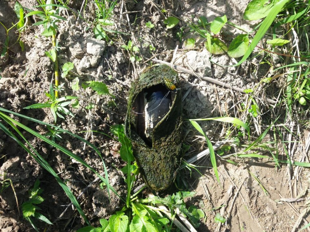 20160624_110434.jpg
