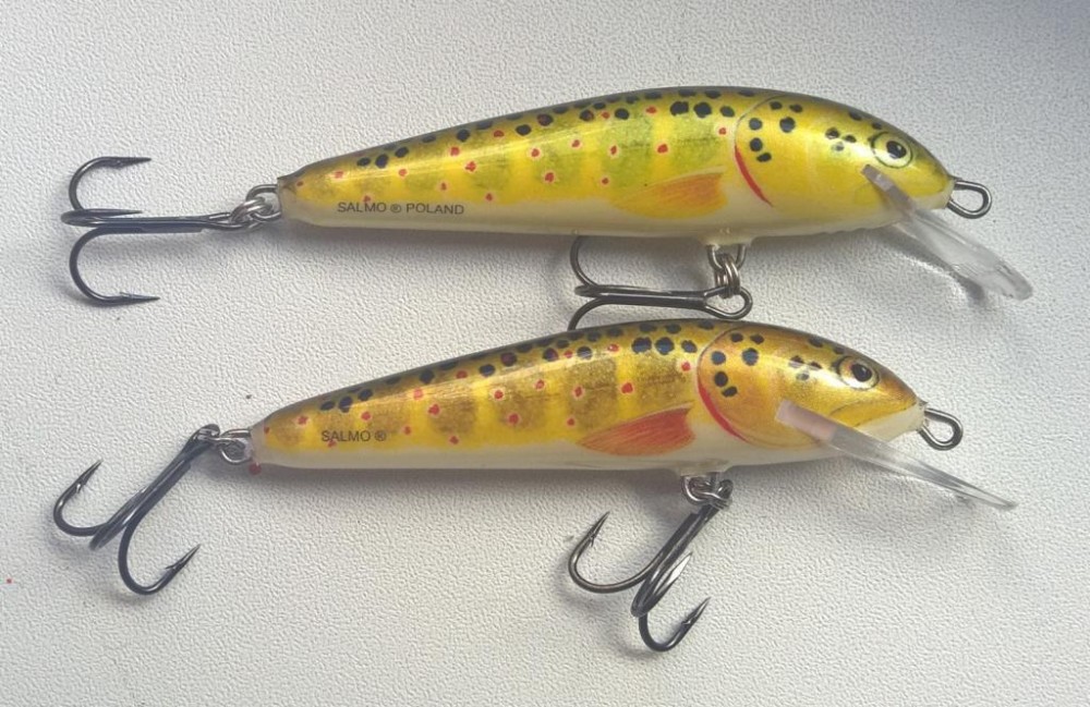 Minnow.jpg