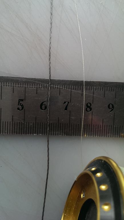 IMAG0220.jpg