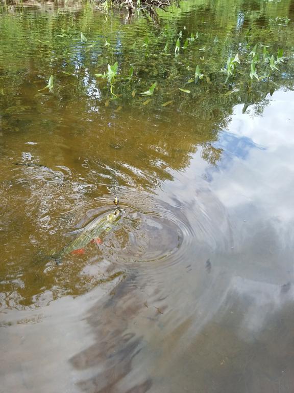 20160709_163008.jpg