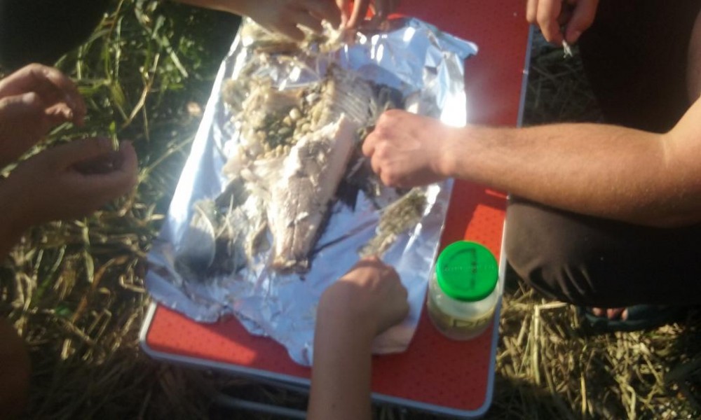 20160716_194403.jpg