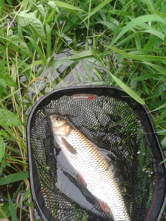 20160724_1223455.jpg