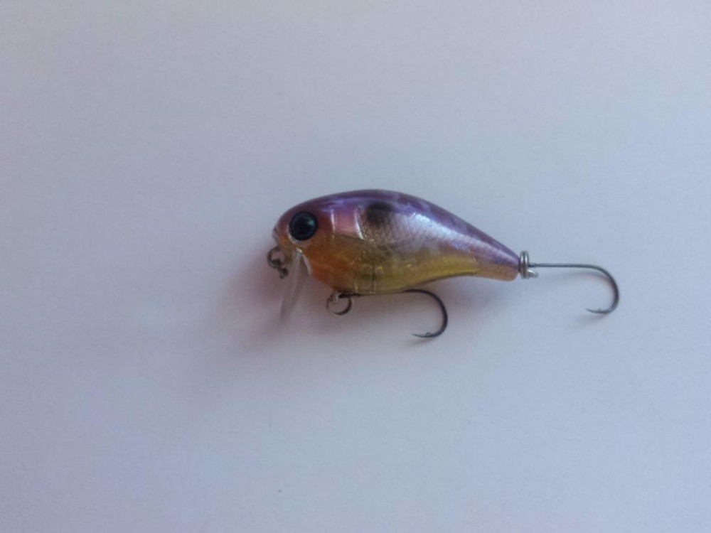 20160727_204427.jpg
