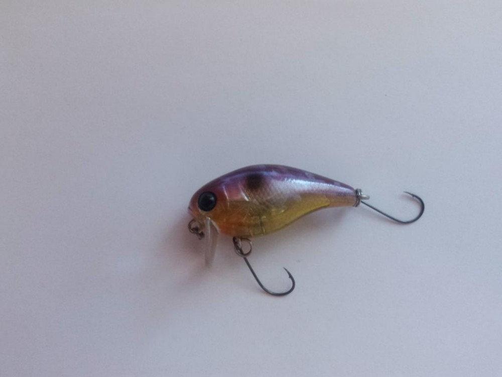 20160727_204555.jpg