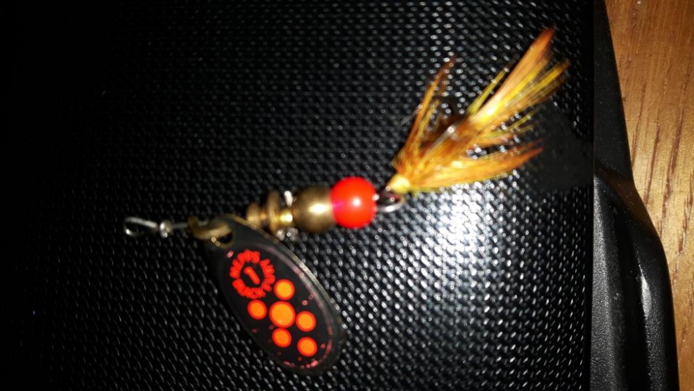 20160801_163859.jpg