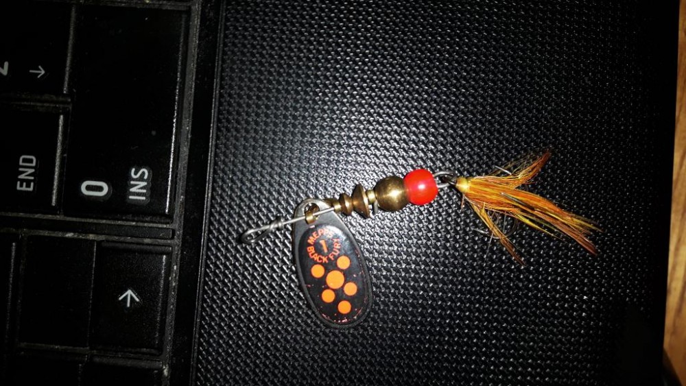 20160801_163935.jpg