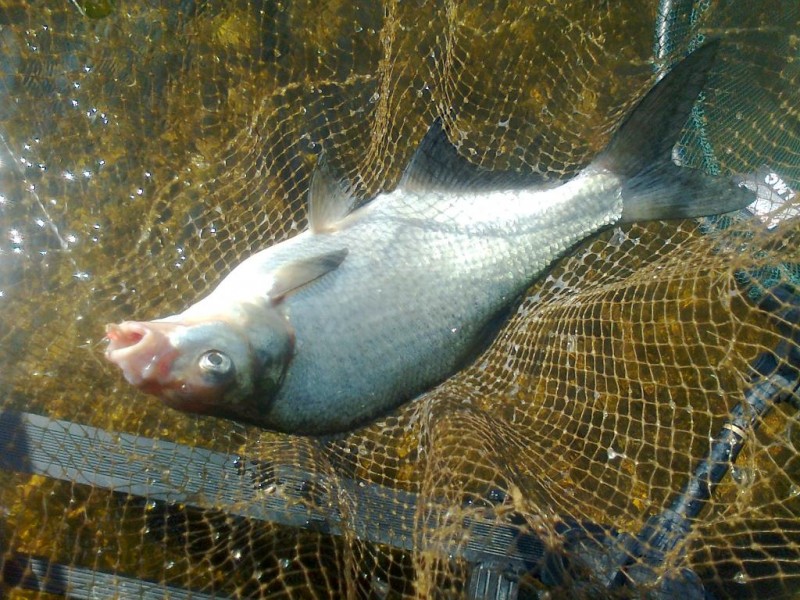Nuotrauka0439.jpg