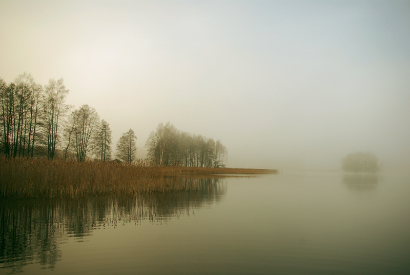 _IGP3348c1.jpg