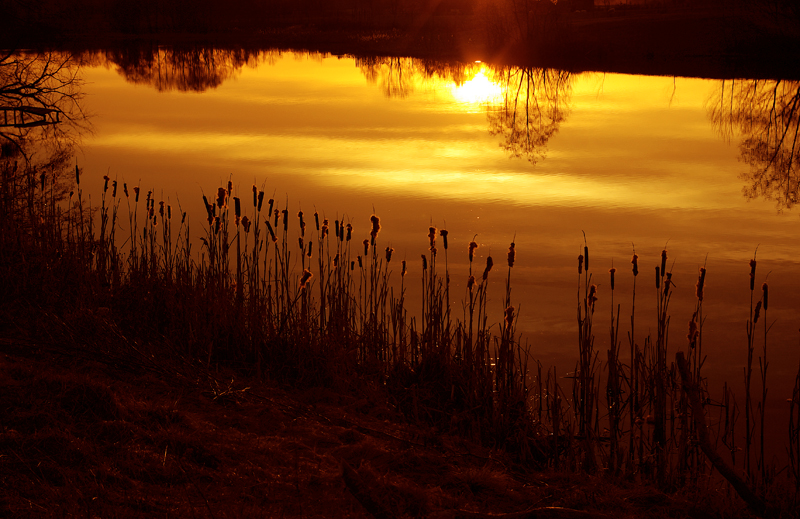 _IGP3639c1.jpg