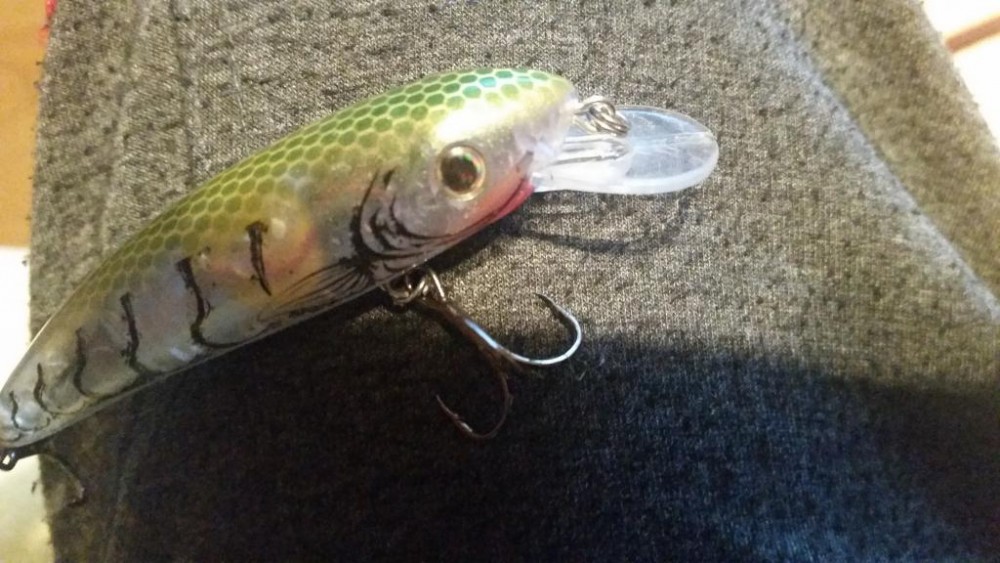20160830_212419.jpg