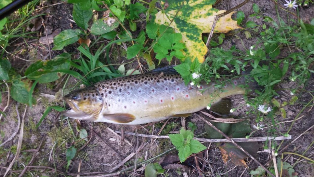 20160908_155655.jpg
