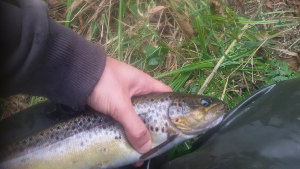 20160913_105842.jpg