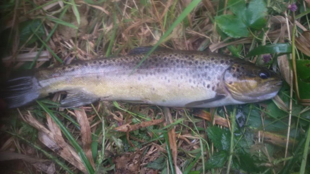 20160913_105849.jpg
