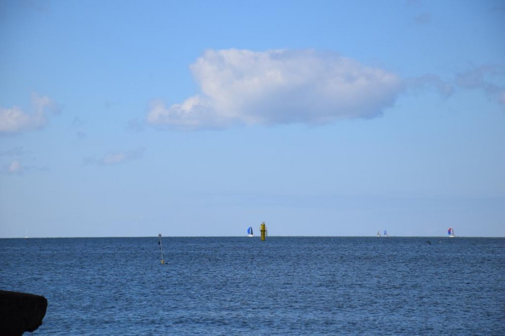 DSC_0252.JPG