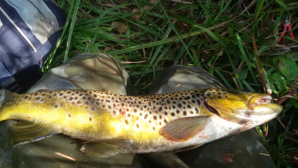 20160920_112415.jpg