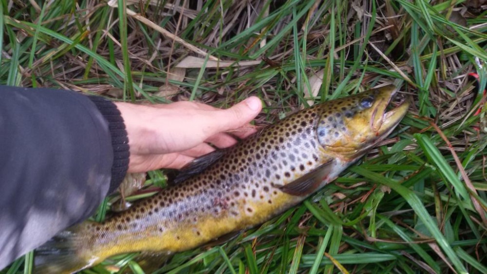 20160920_112425.jpg