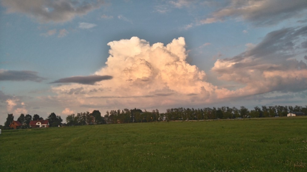 DSC_0349.JPG