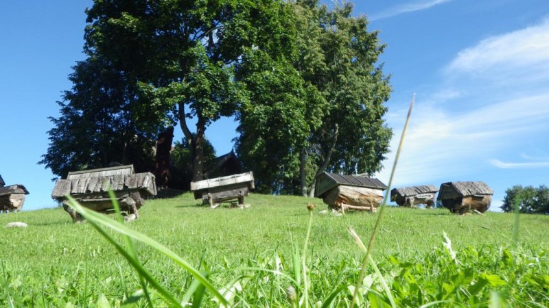 2013-08-24 10.08.50.jpg
