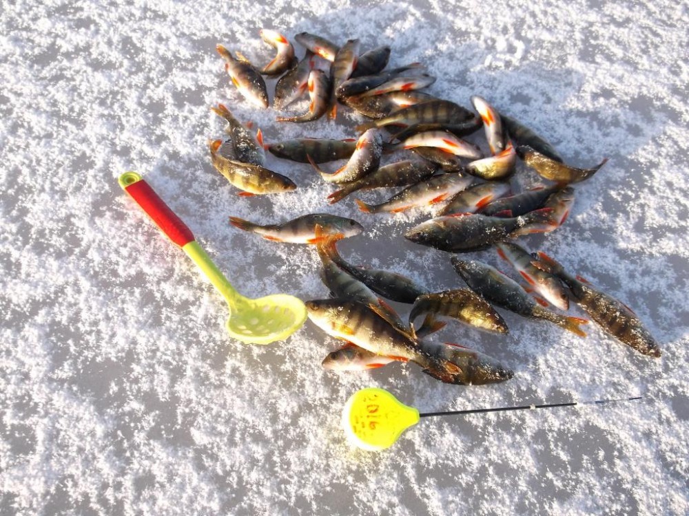 DSCF6726.JPG