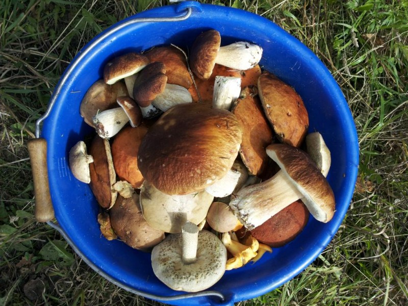 20130827_104700.jpg