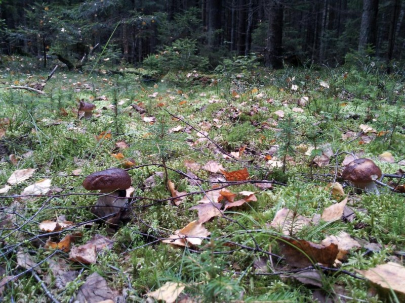 20130827_101538.jpg