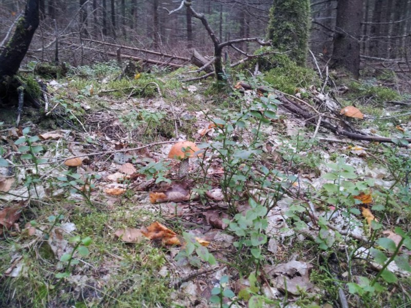 20130827_090249.jpg