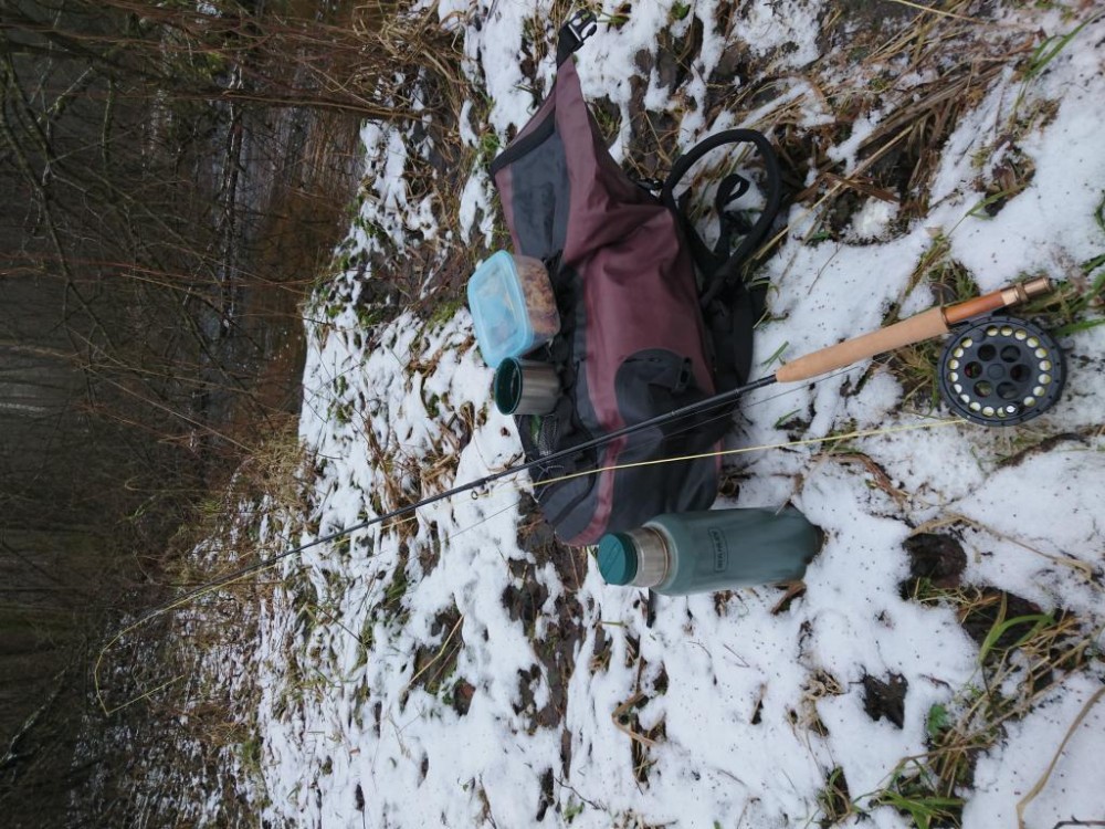 DSC_0184.JPG