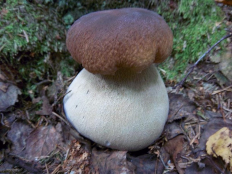 siuviniai 137.jpg