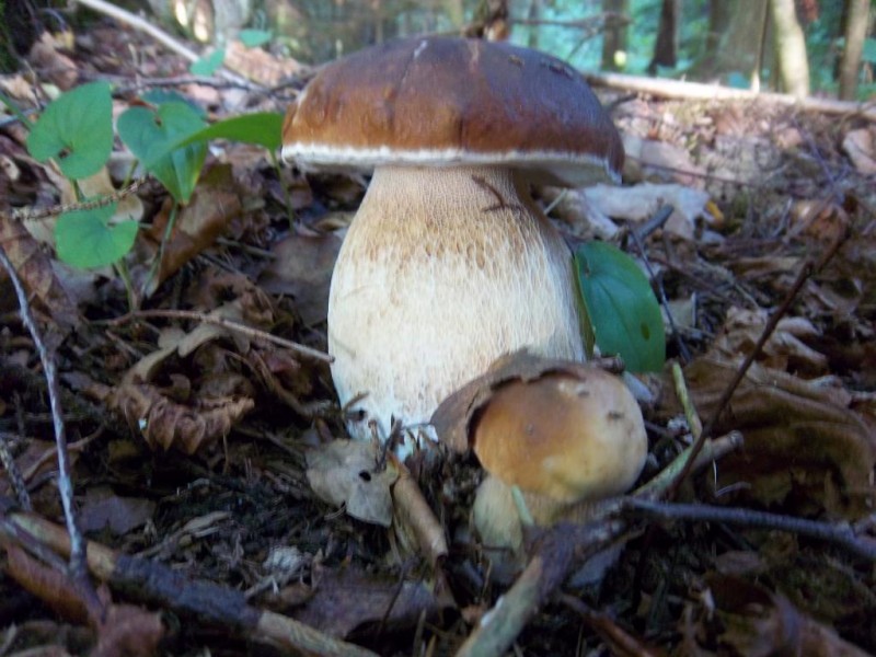 siuviniai 111.jpg