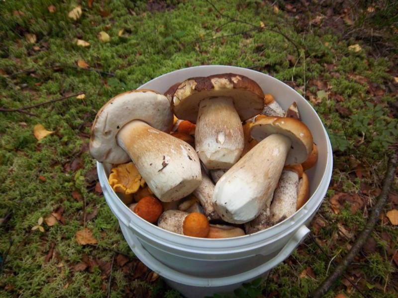 siuviniai 120.jpg