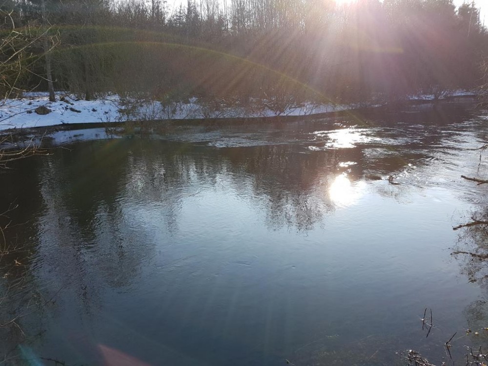 20170204_143306.jpg