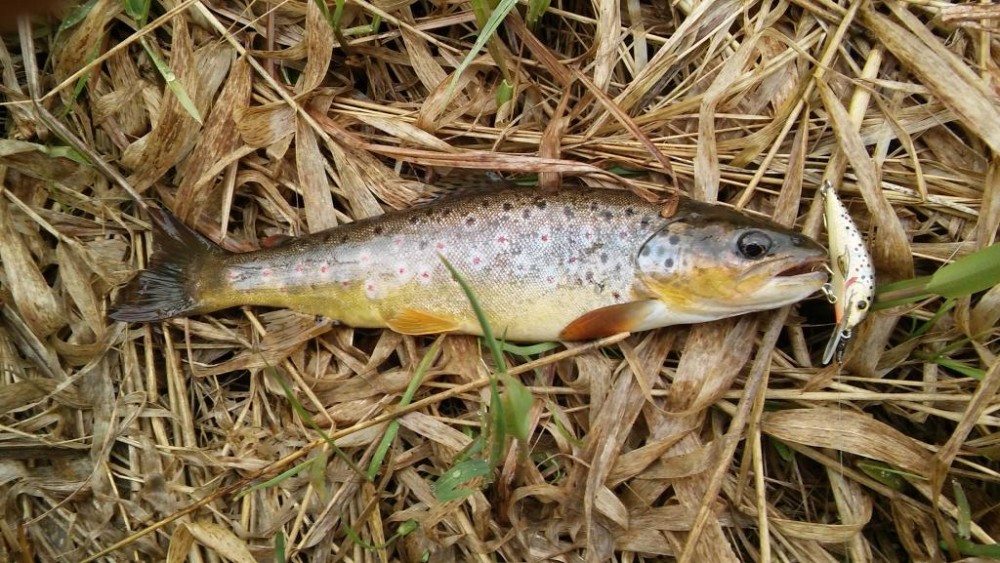 20170422_105345.jpg
