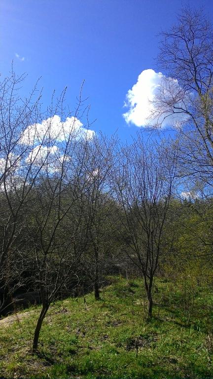 P_20170423_102018.jpg