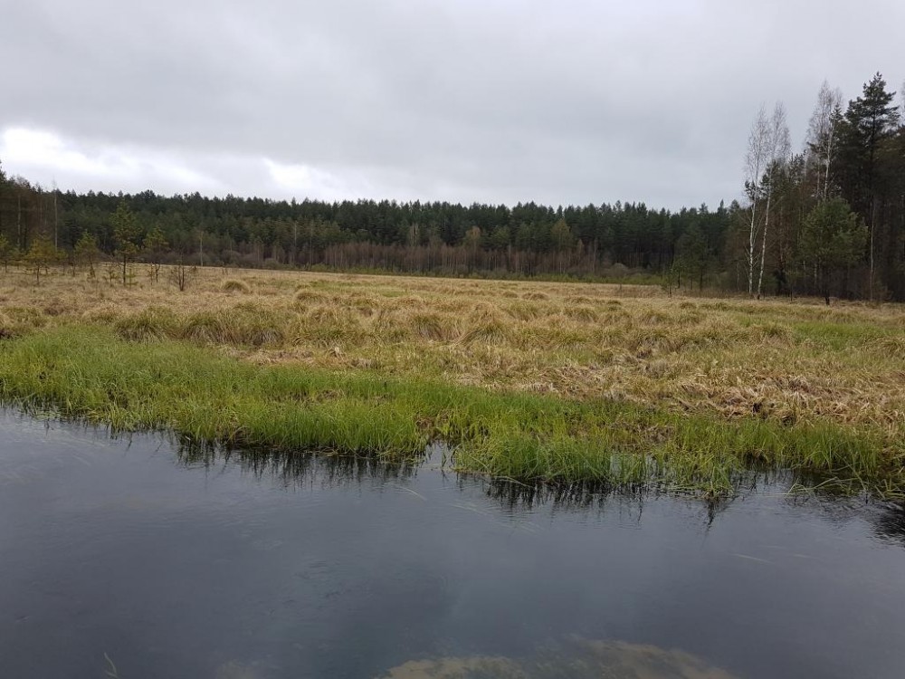 20170429_121727.jpg