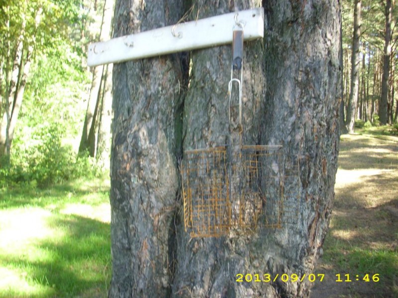 DSCI0003.JPG