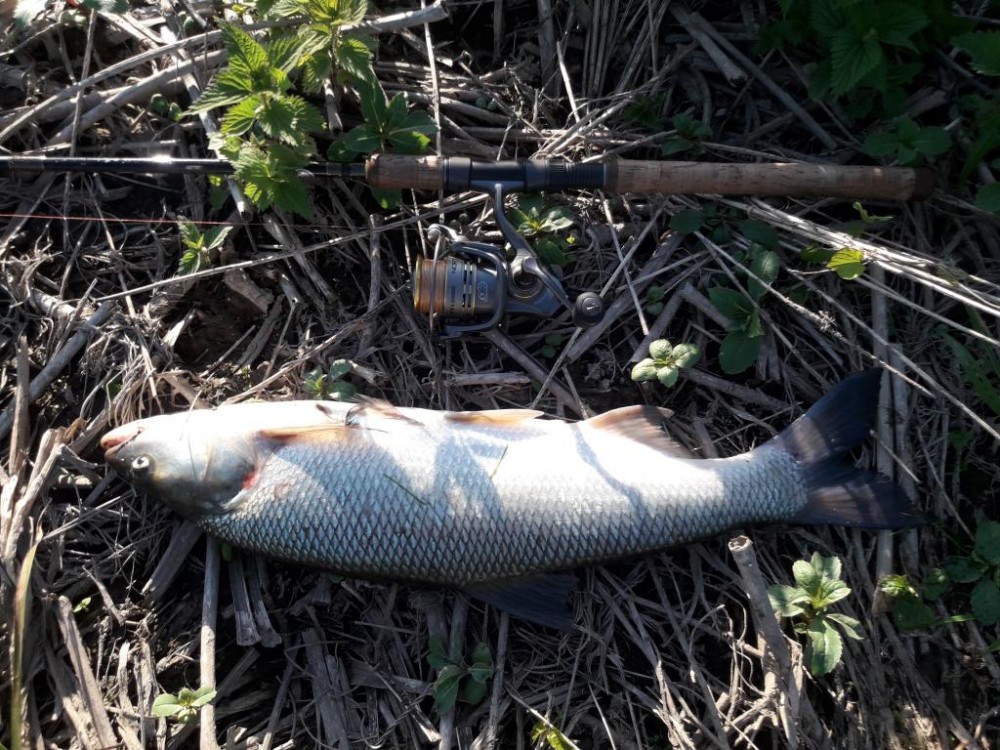 20170530_194815.jpg