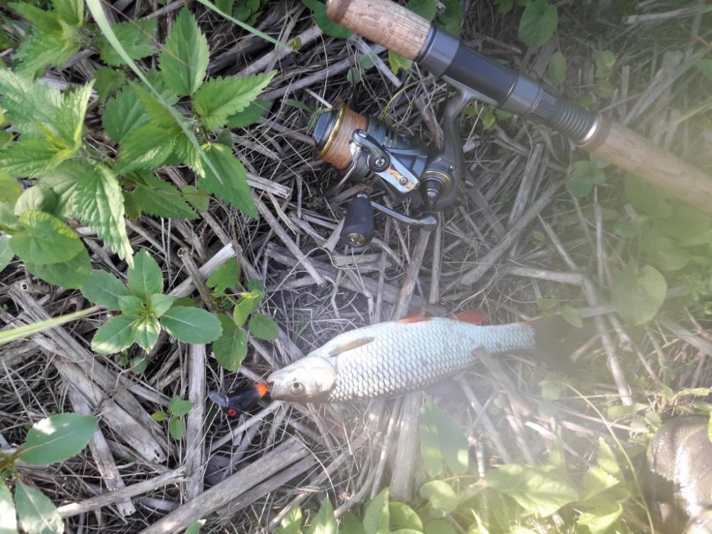 20170530_184637.jpg